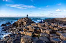 Excursion à la Chaussée des Géants, au château de Dunluce et à Belfast