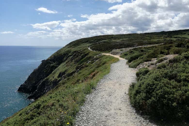 Les sentiers le long des falaises de Howth